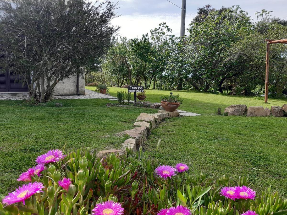 Agriturismo Colleverde Capalbio Exteriör bild