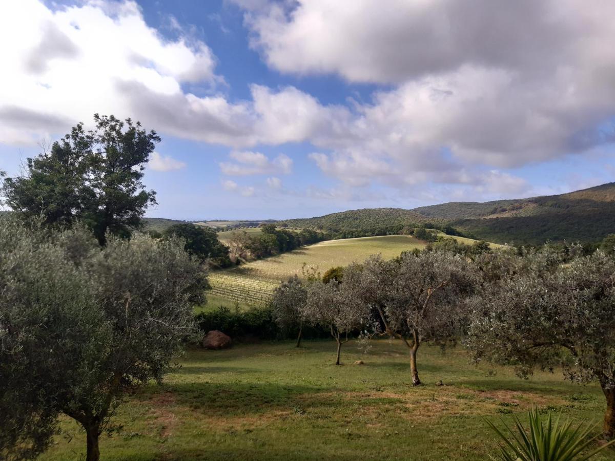 Agriturismo Colleverde Capalbio Exteriör bild