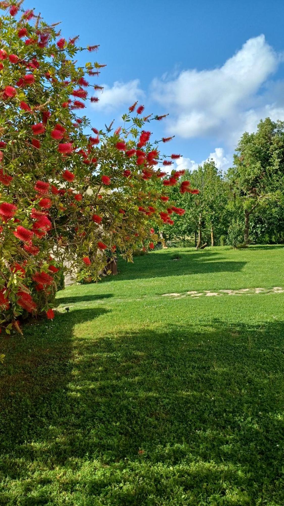 Agriturismo Colleverde Capalbio Exteriör bild