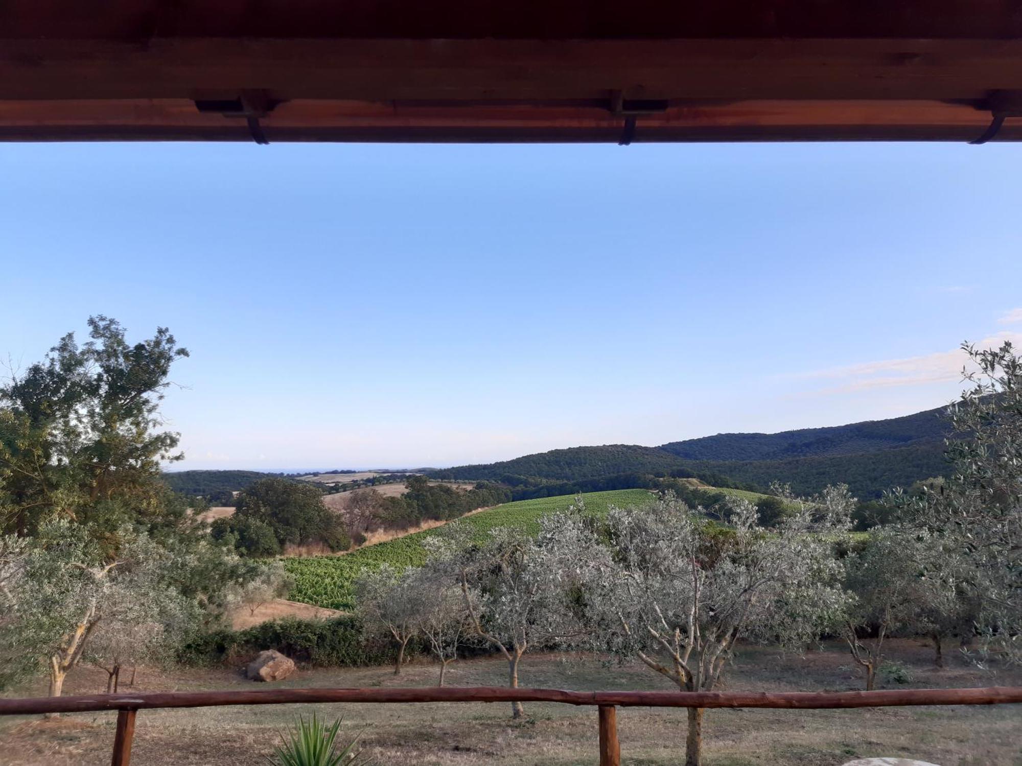 Agriturismo Colleverde Capalbio Rum bild